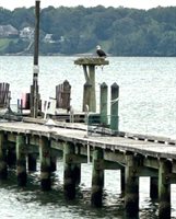 7589 Spencer Road, Gloucester Point, VA 23062