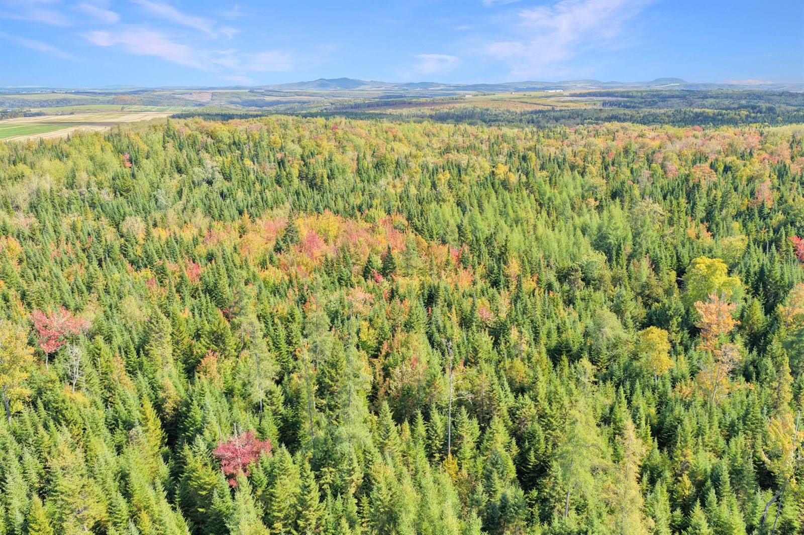 1469 Van Buren Road, Caswell, ME 04750