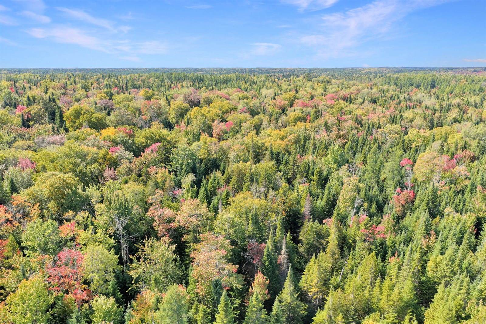 1469 Van Buren Road, Caswell, ME 04750