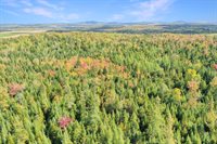 1469 Van Buren Road, Caswell, ME 04750