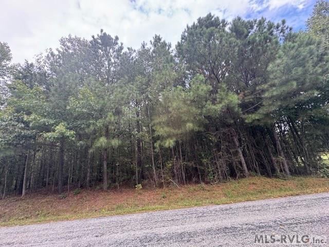 0 Township Rd, Dolphin, VA 23843