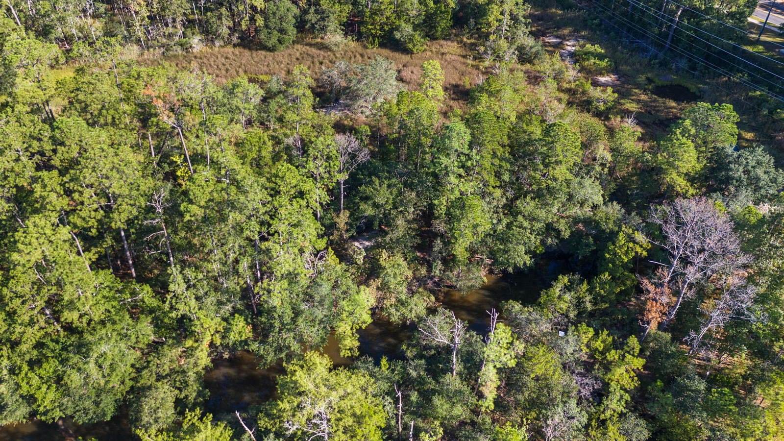 736 Savage Road, Charleston, SC 29414