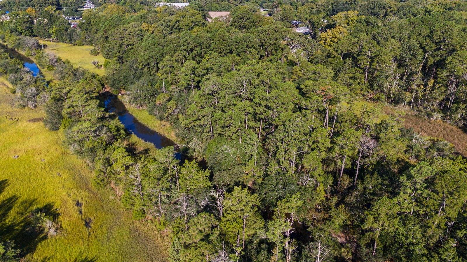 736 Savage Road, Charleston, SC 29414