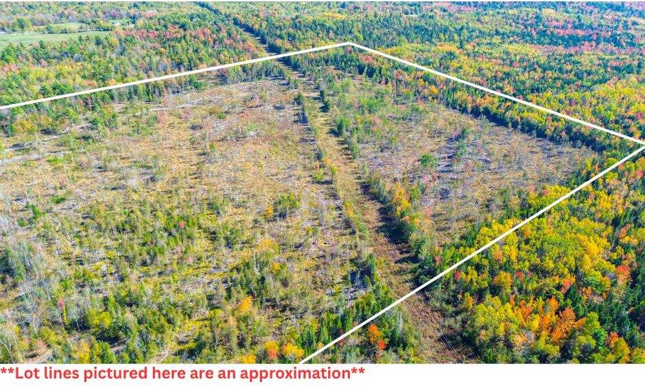 TBD West Etna Road, Etna, ME 04434