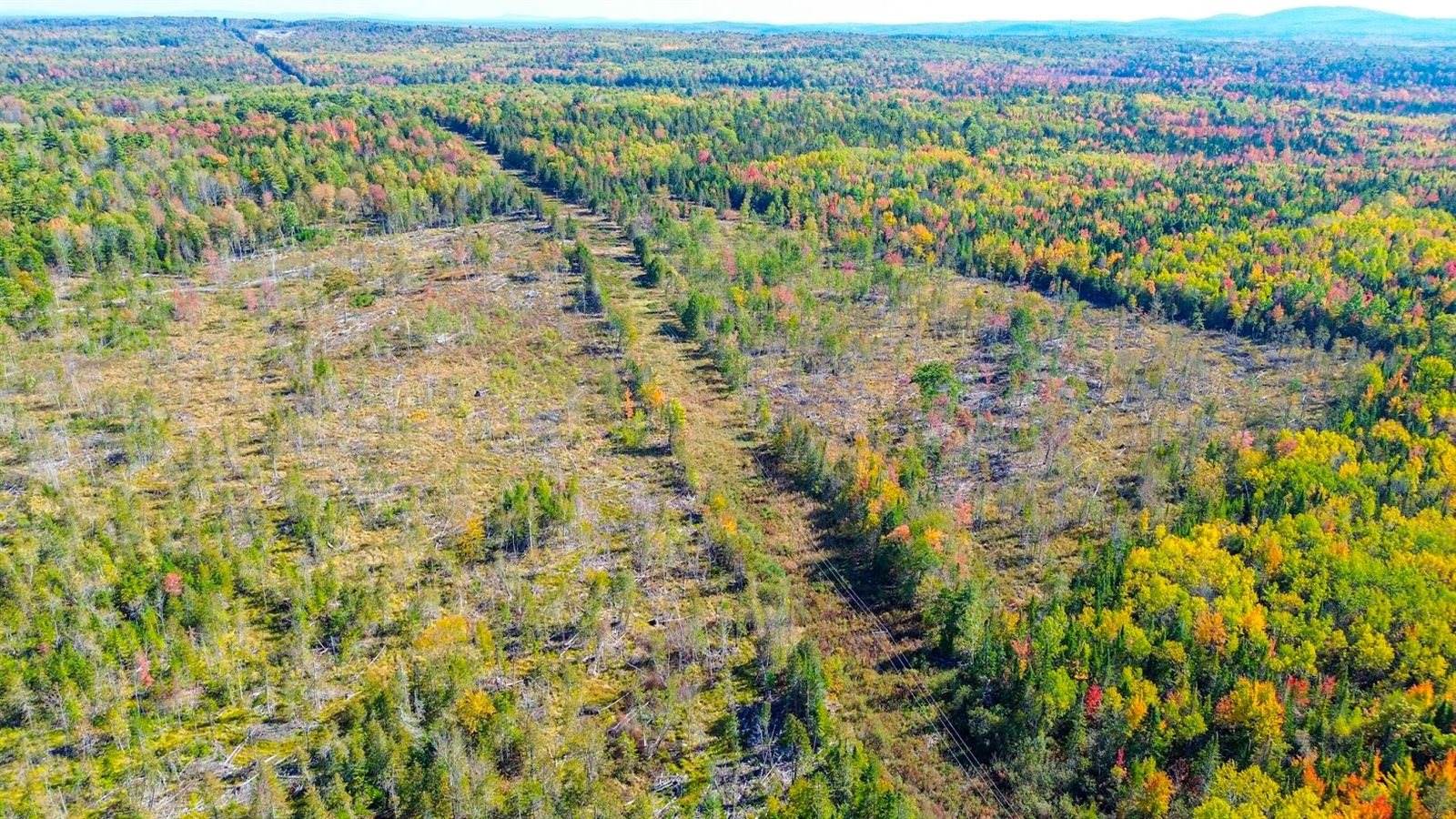 TBD West Etna Road, Etna, ME 04434