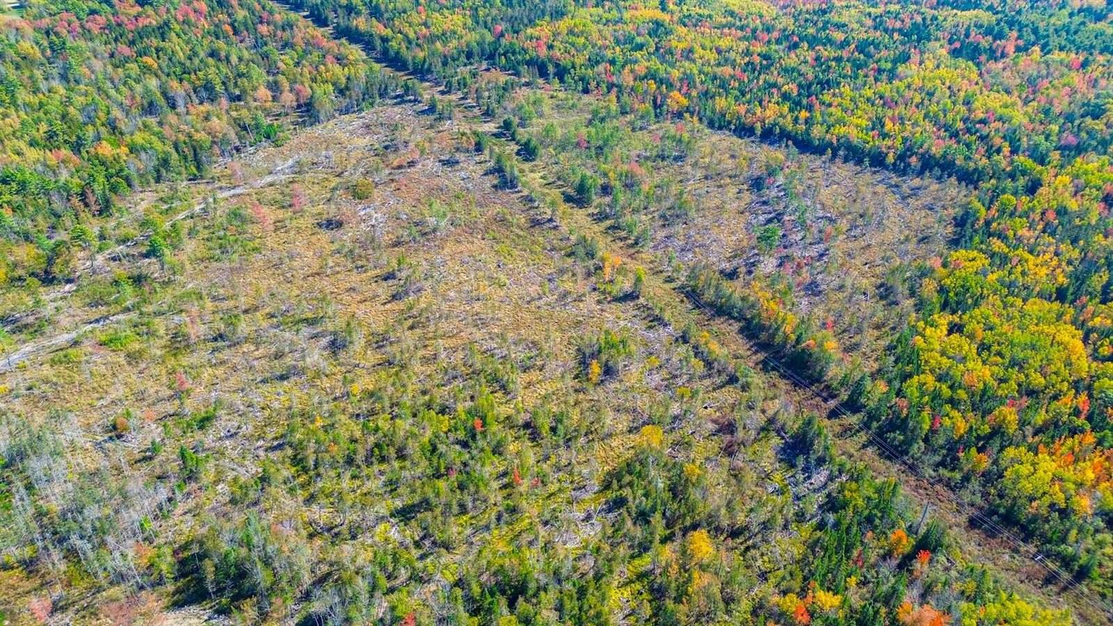 TBD West Etna Road, Etna, ME 04434