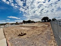 11 Bristlecone Drive, Montrose, CO 81401