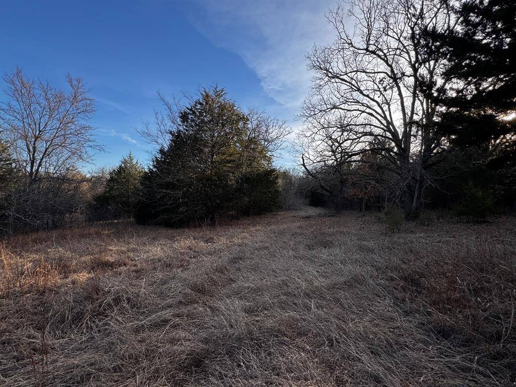 TBD Cr-4059, Kemp, TX 75143