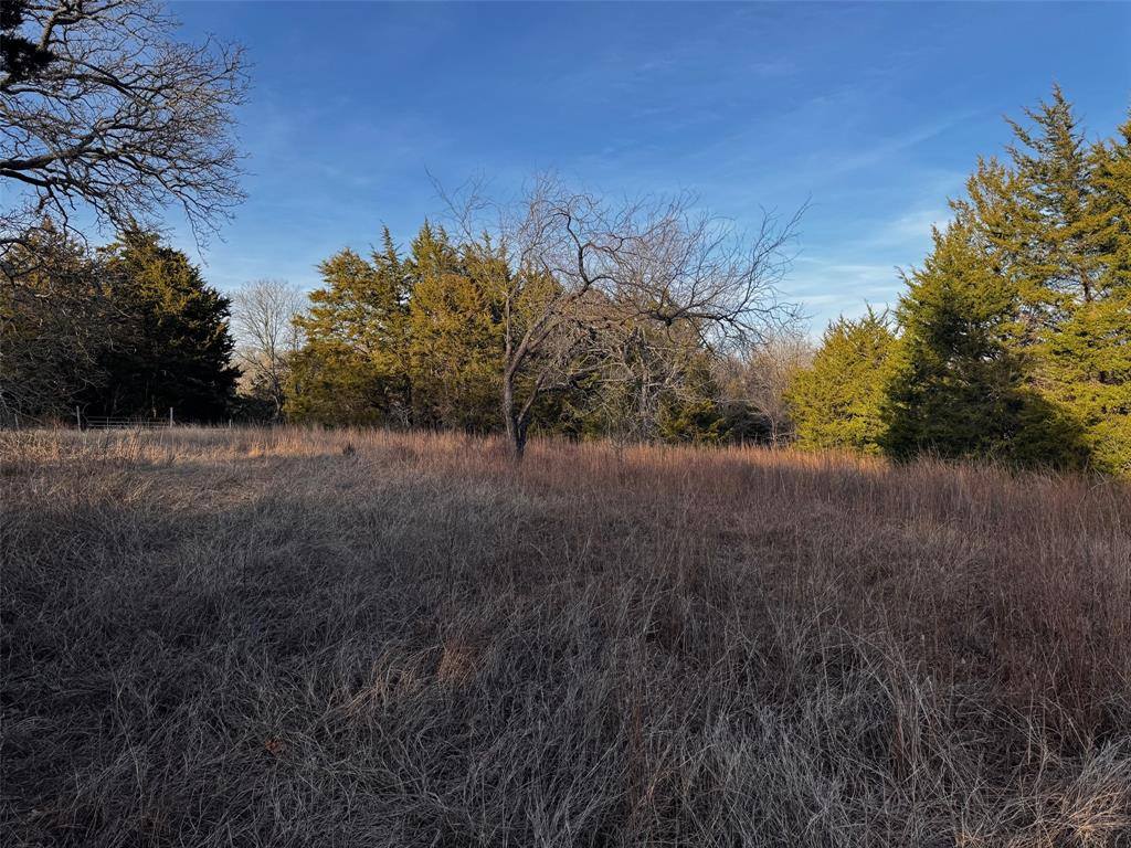 TBD Cr-4059, Kemp, TX 75143