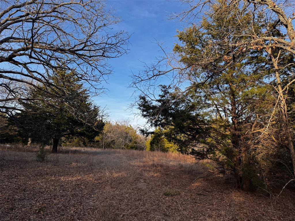 TBD Cr-4059, Kemp, TX 75143