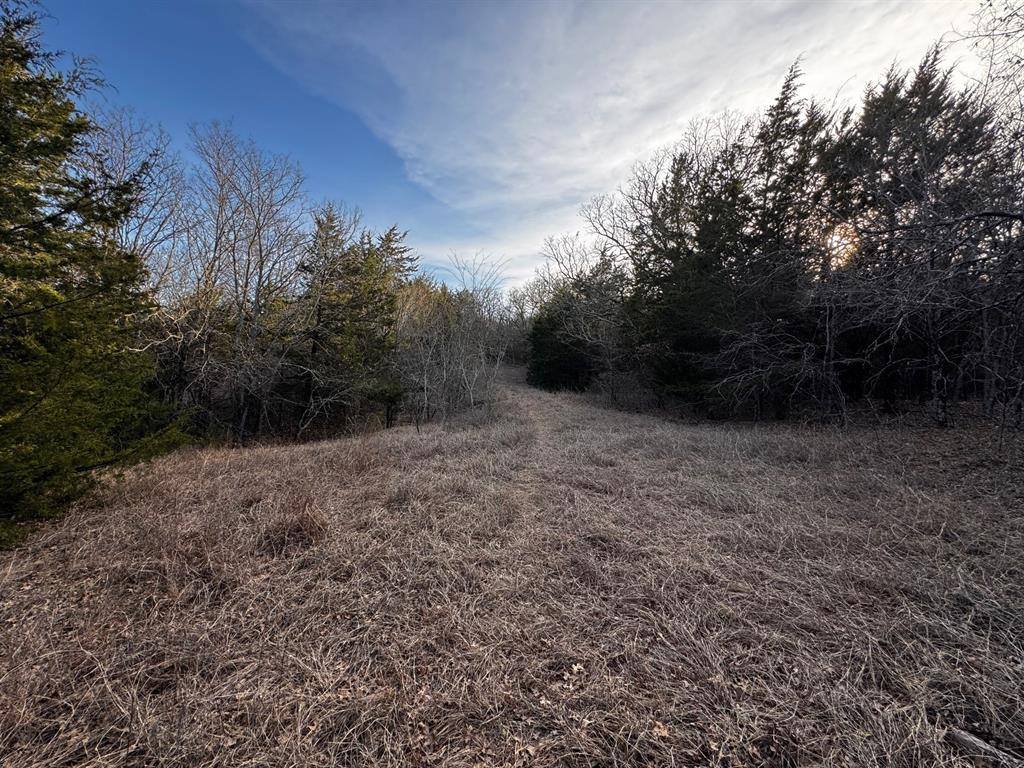 TBD Cr-4059, Kemp, TX 75143