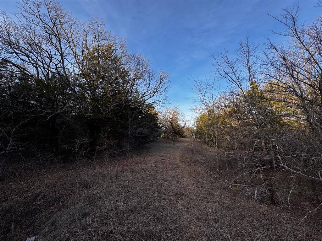 TBD Cr-4059, Kemp, TX 75143