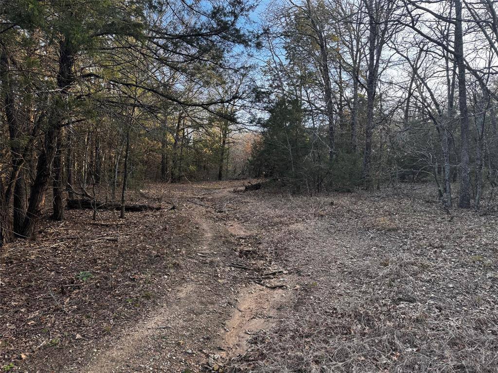 TBD Cr-4059, Kemp, TX 75143