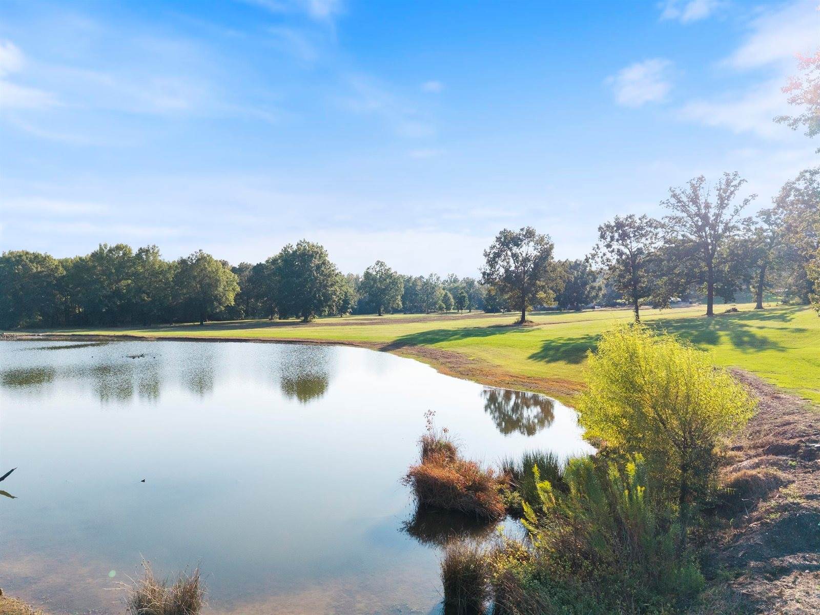 54 Terry Lynn Lane, Perryville, AR 72126