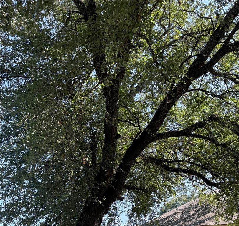 500 Cedar Street, Hearne, TX 77859