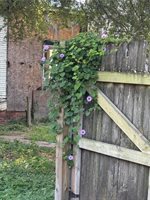 500 Cedar Street, Hearne, TX 77859