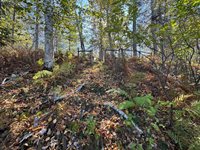 2625 Boundary Avenue, Willow River, MN 55795