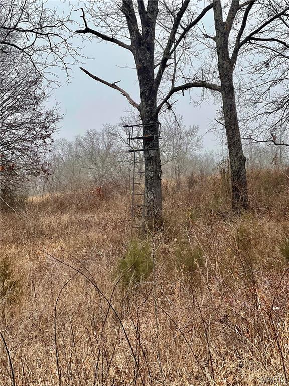 23643 Red Hawk Drive, Lebanon, MO 65536