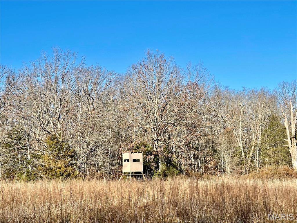 23643 Red Hawk Drive, Lebanon, MO 65536