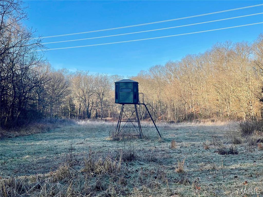 23643 Red Hawk Drive, Lebanon, MO 65536