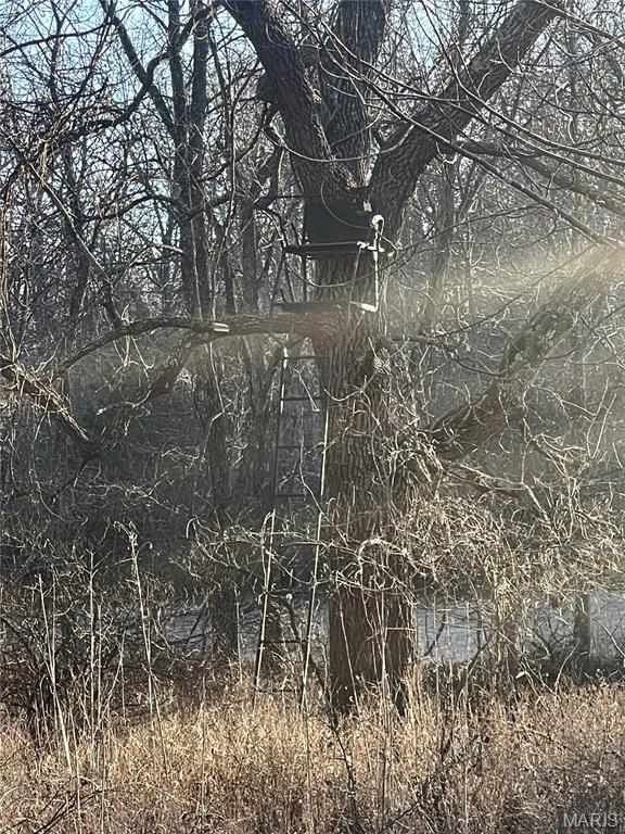 23643 Red Hawk Drive, Lebanon, MO 65536