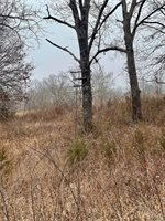 23643 Red Hawk Drive, Lebanon, MO 65536