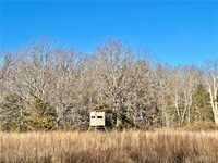 23643 Red Hawk Drive, Lebanon, MO 65536