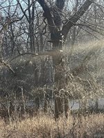 23643 Red Hawk Drive, Lebanon, MO 65536