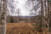 840 Leuthold Drive, Fairbanks, AK 99712