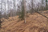 840 Leuthold Drive, Fairbanks, AK 99712