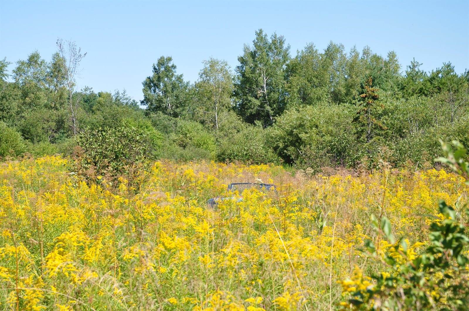 1765 Ohio Street, Bangor, ME 04401