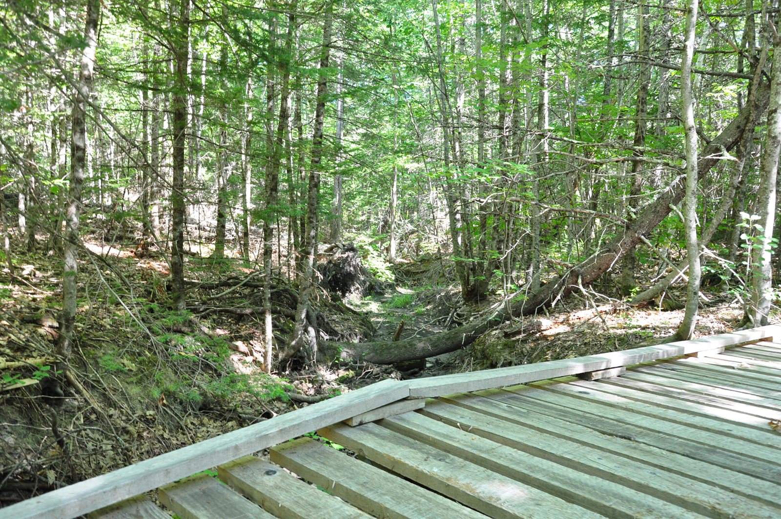 1765 Ohio Street, Bangor, ME 04401