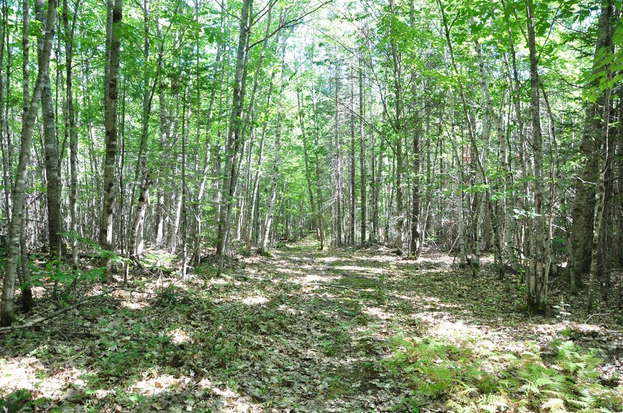 1765 Ohio Street, Bangor, ME 04401