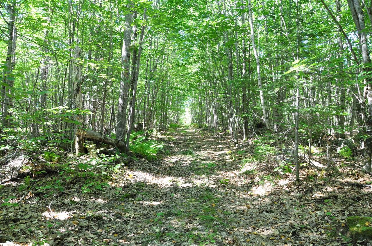 1765 Ohio Street, Bangor, ME 04401