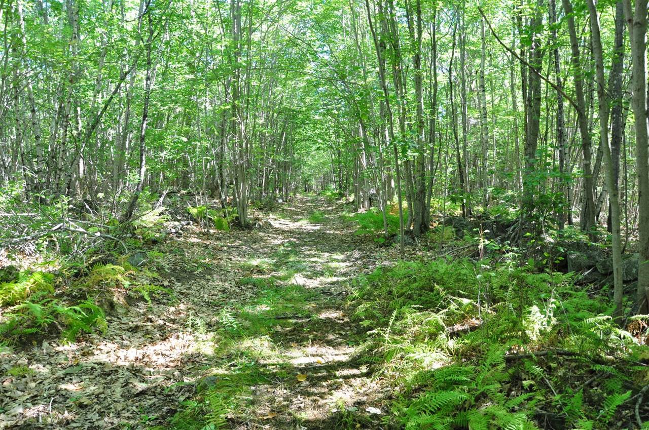 1765 Ohio Street, Bangor, ME 04401