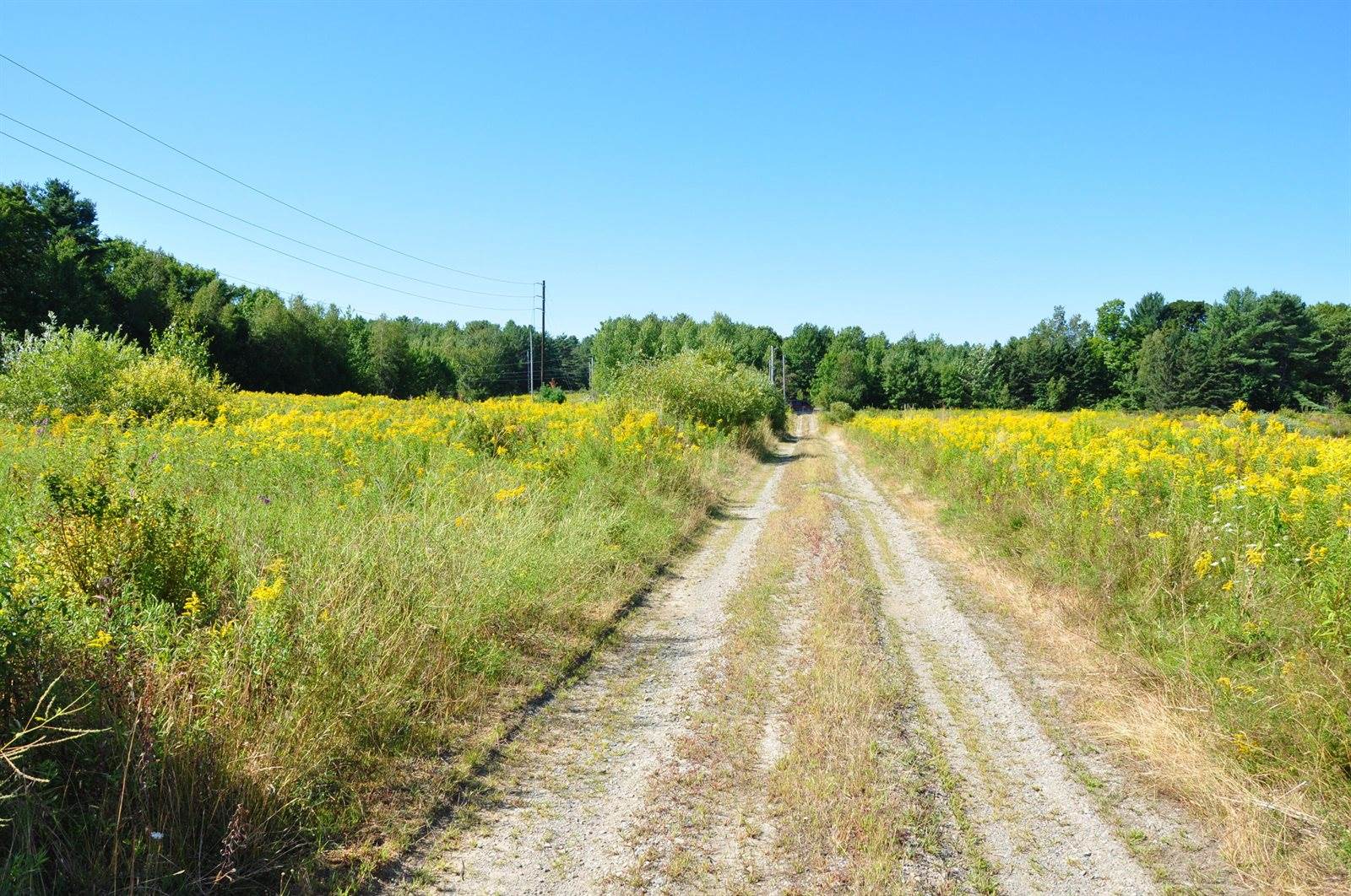 1765 Ohio Street, Bangor, ME 04401