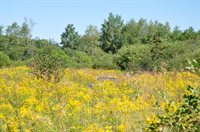 1765 Ohio Street, Bangor, ME 04401