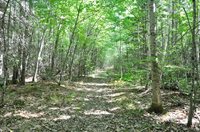 1765 Ohio Street, Bangor, ME 04401