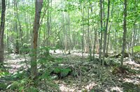 1765 Ohio Street, Bangor, ME 04401