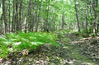 1765 Ohio Street, Bangor, ME 04401