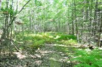 1765 Ohio Street, Bangor, ME 04401