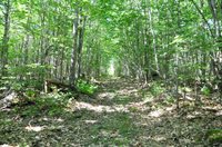 1765 Ohio Street, Bangor, ME 04401