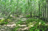 1765 Ohio Street, Bangor, ME 04401