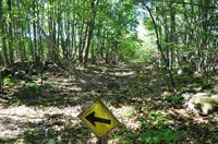 1765 Ohio Street, Bangor, ME 04401