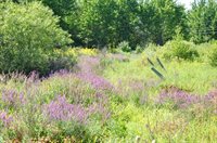 1765 Ohio Street, Bangor, ME 04401