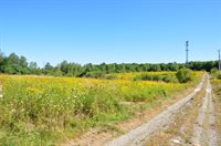 1765 Ohio Street, Bangor, ME 04401