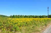 1765 Ohio Street, Bangor, ME 04401