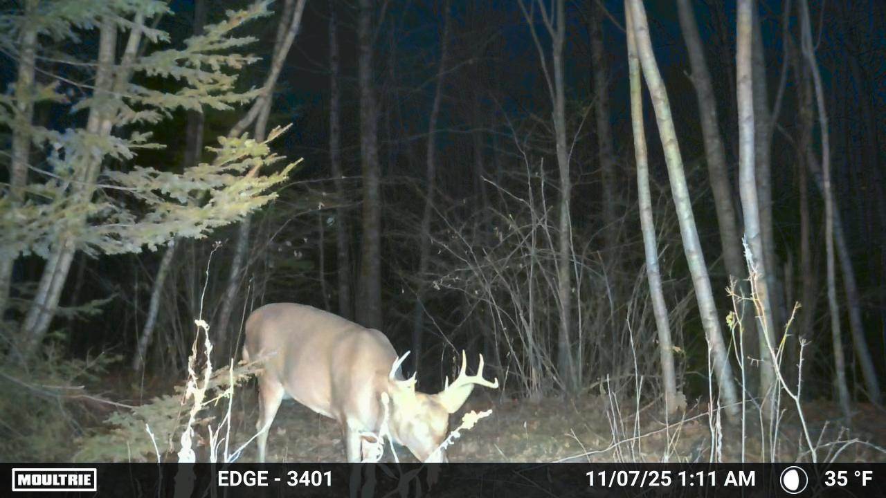 330 Stream Road, Winterport, ME 04496