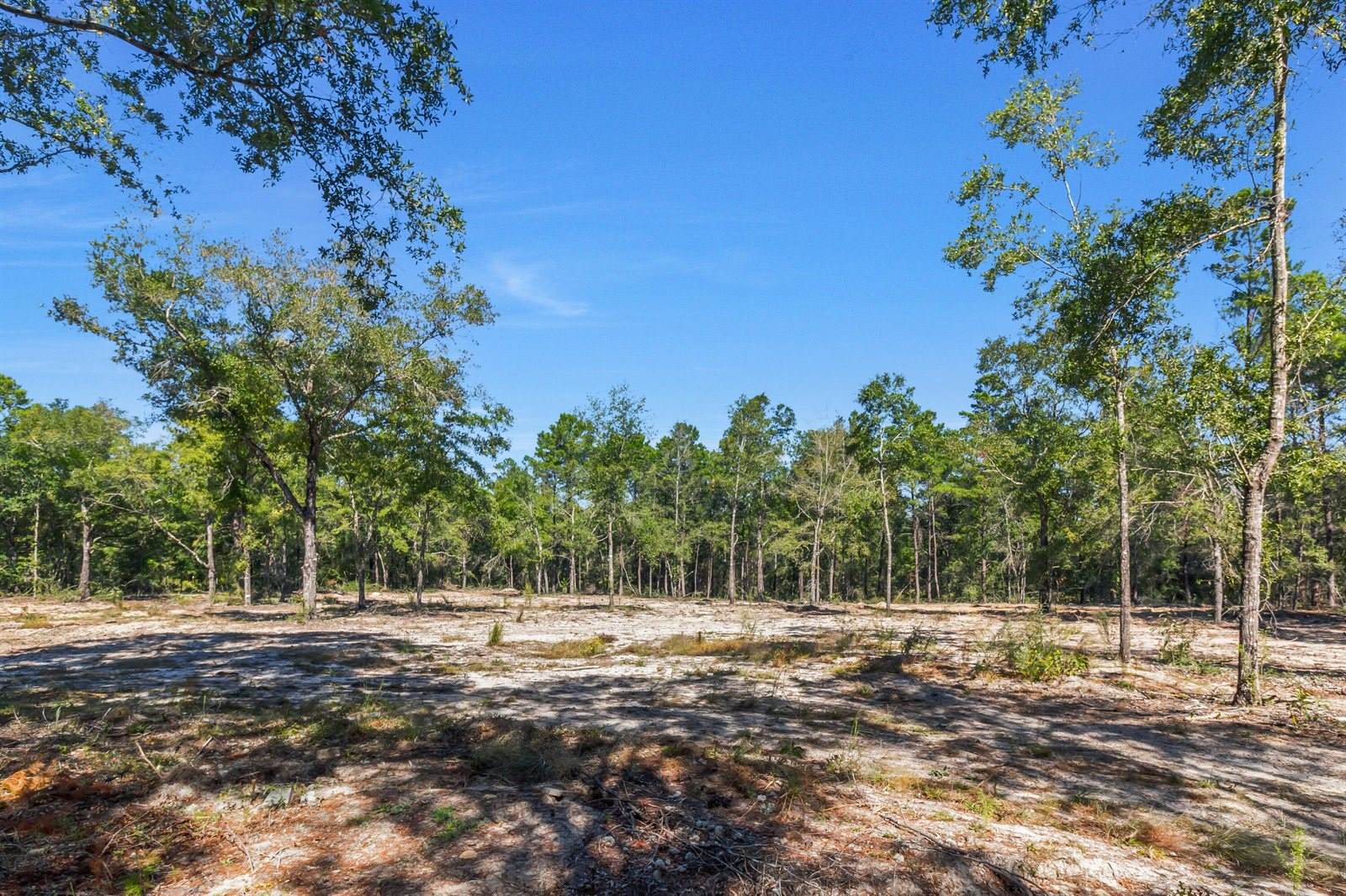 4005 Rock Hill Road, DeFuniak Springs, FL 32435