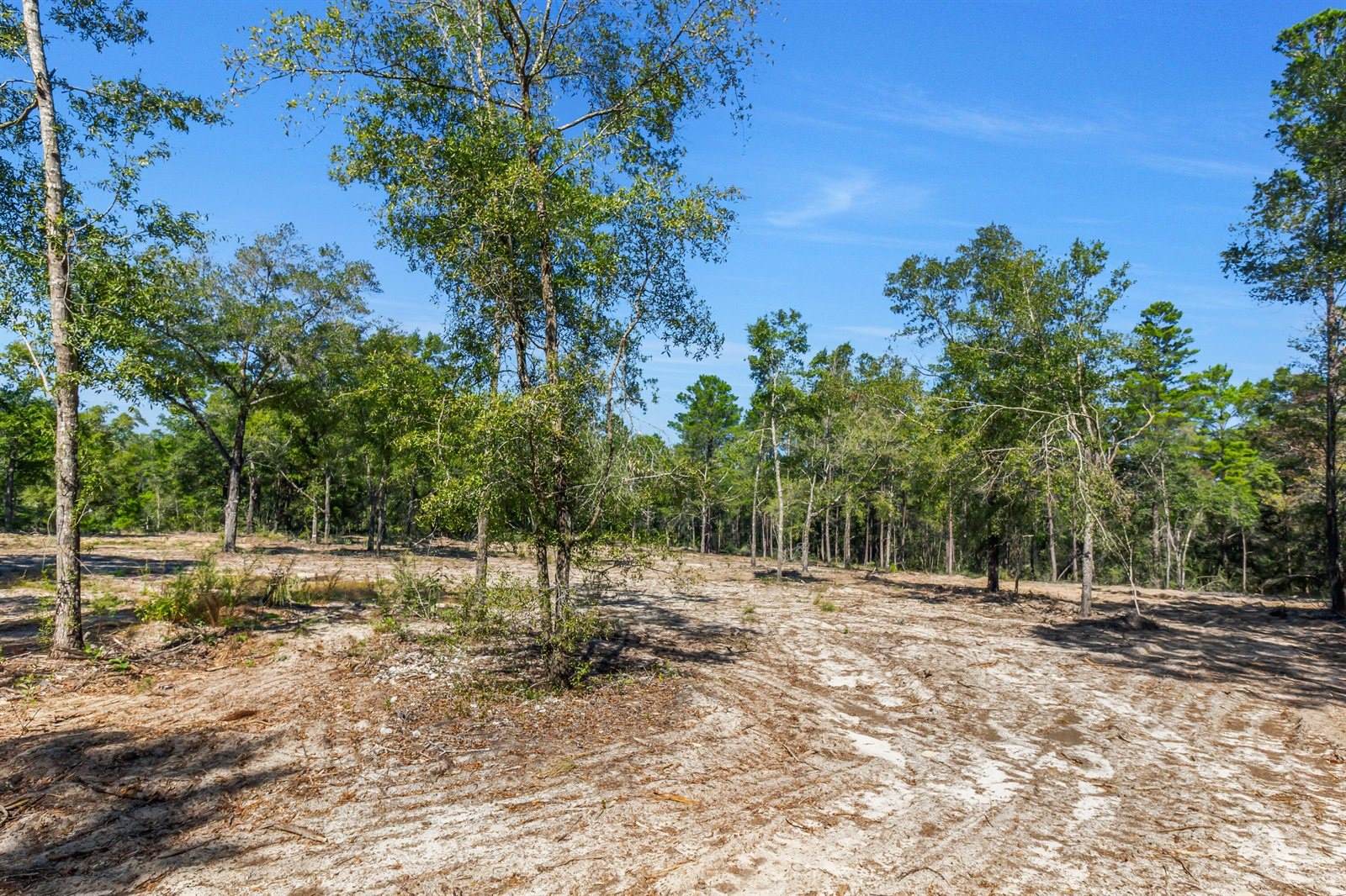 4005 Rock Hill Road, DeFuniak Springs, FL 32435